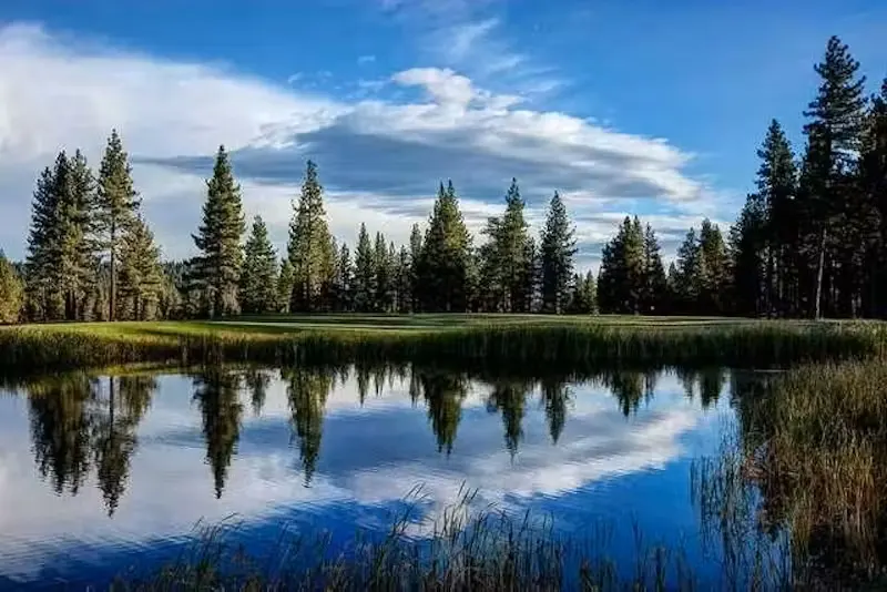 Best Summer Golf Destinations for Your Next Getaway
