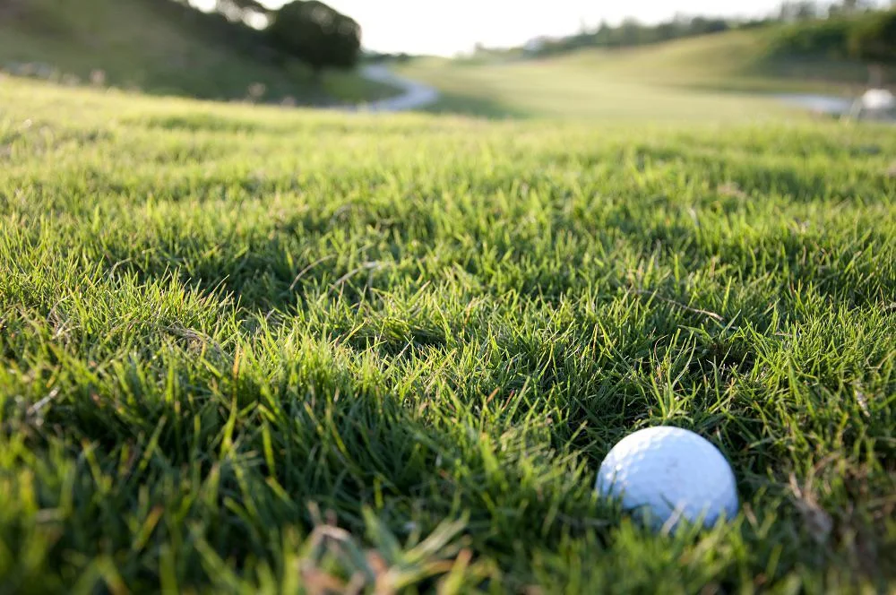 Tips for Patchy Grass in Golf